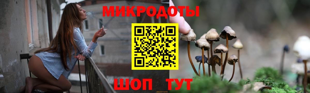 Псилоцибиновые грибы мицелий Балашов
